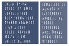 Alt Tribe Font Family Product Image 6