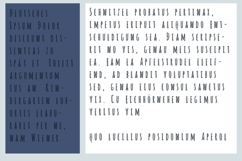 Alt Tribe Font Family Product Image 3