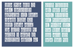 Alt Tribe Font Family Product Image 12