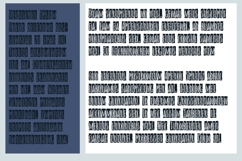 Alt Tribe Font Family Product Image 9
