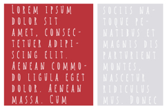 Alteration American Font Family Product Image 3