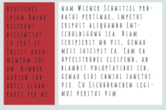 Alteration American Font Family Product Image 6