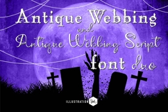 Antique Webbing Font Duo Product Image 1