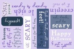 Antique Webbing Font Duo Product Image 2