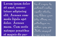 Antique Webbing Font Duo Product Image 5