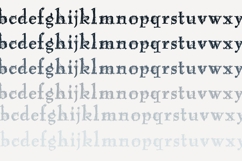 Antique Webbing Font Duo Product Image 6