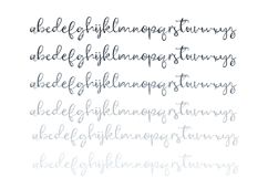 Antique Webbing Font Duo Product Image 3