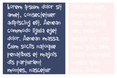 Beacoup Bloom Font Family Product Image 6