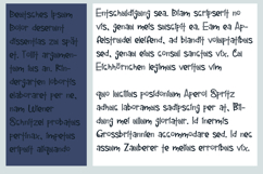 Beacoup Bloom Font Family Product Image 3