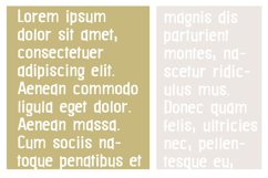 ZP Blaggard Product Image 4