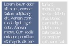 Blandish Product Image 2