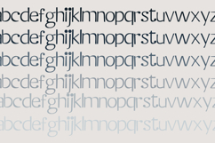 Blandish Product Image 3