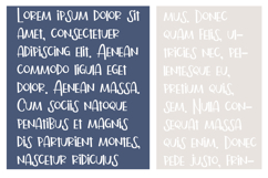 Blimey Font Family Product Image 5