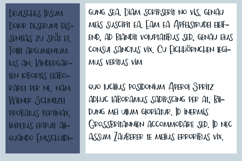 Blimey Font Family Product Image 2