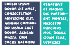 Bluejay Font Family Product Image 3