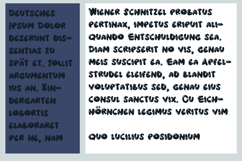 Bluejay Font Family Product Image 6