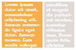 Bobotie Blooms Font Family Product Image 6