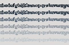 Bobotie Blooms Font Family Product Image 9