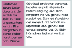 Bonjourno Product Image 2
