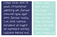 Booya Product Image 2