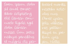 Carpe Diem Font Family Product Image 3