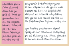 Carpe Diem Font Family Product Image 6