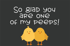 Chicken Noodle Font Family Product Image 4