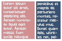 Chinaberry Font Family Product Image 3