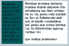 Chinatic Product Image 2