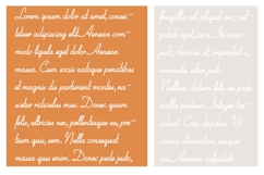 Chrysanthemum Product Image 4