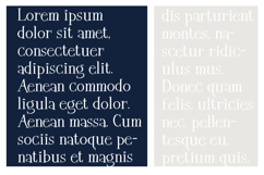 Class Pet Product Image 5