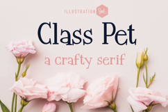 Civil Serifs Font Bundle Product Image 15