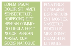 Classic Mom Font Family Product Image 3