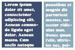 Cobb Show Font Family Product Image 3