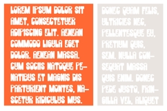 ZP Copacetic Font Family Product Image 4