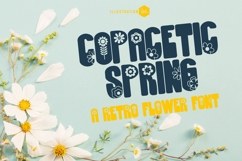 Copacetic Spring Font Family Product Image 1