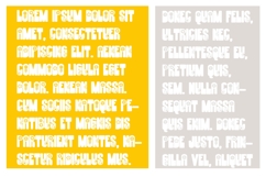 Copacetic Spring Font Family Product Image 4