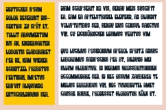 Copacetic Spring Font Family Product Image 7