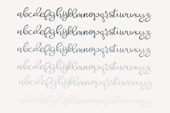 Crumb Cake Product Image 6