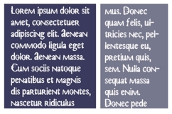Dirty Damocles Democracy Font Family Product Image 8