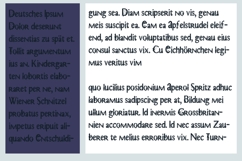 Dirty Damocles Democracy Font Family Product Image 5