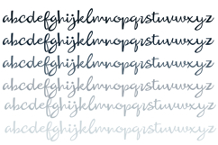 Dandy Lion Font Family Product Image 5