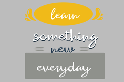 Dandy Lion Font Family Product Image 6