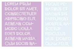 Doctor Dahlia Font Family Product Image 5