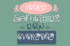 Fancy Flowers Font Family Product Image 6