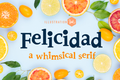 Civil Serifs Font Bundle Product Image 18