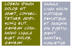 Fraternities Floral Font Family Product Image 5