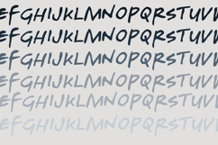 Fraternities Floral Font Family Product Image 6