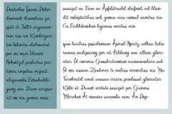Halloween Elegance - Elegant Spooky Script Font Product Image 2