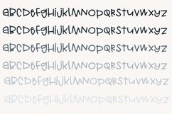 ZP Harmonica Product Image 6